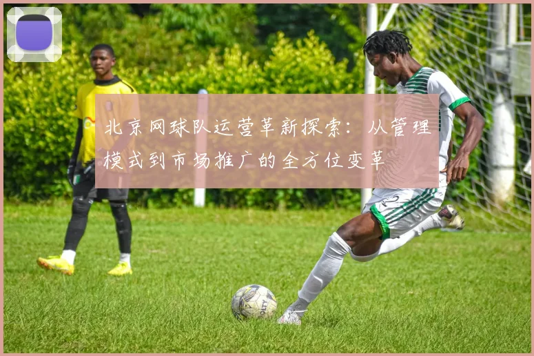 北京网球队运营革新探索：从管理模式到市场推广的全方位变革